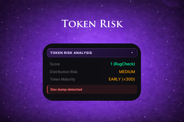 Token Risk Analysis
